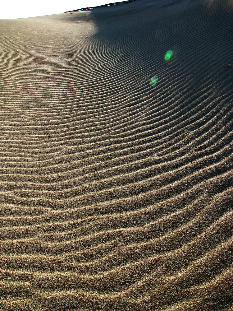 風の痕
