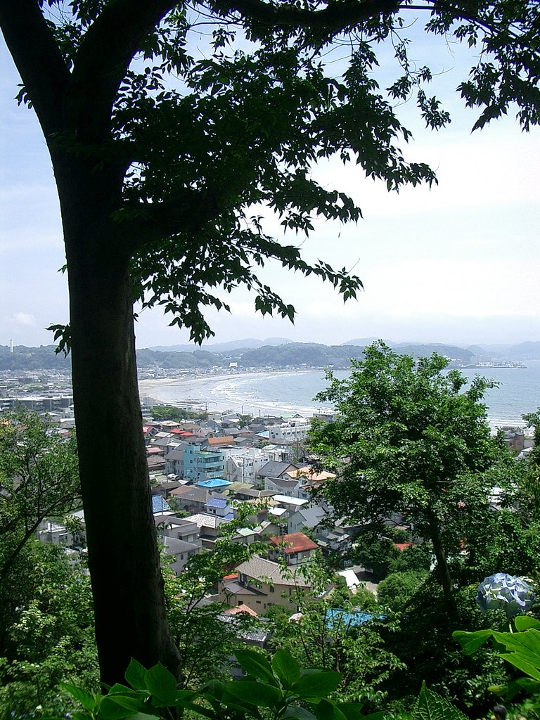 〜鎌倉散策-04　長谷寺から材木座海岸〜
