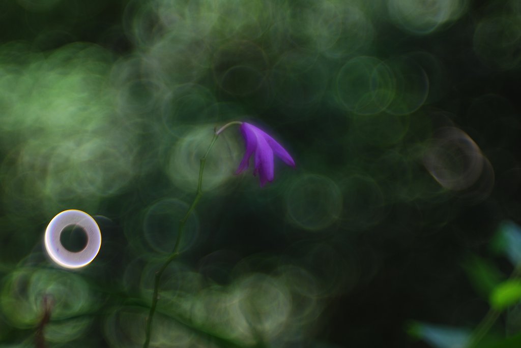 Thambar 90mmF2.2