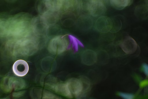 Thambar 90mmF2.2
