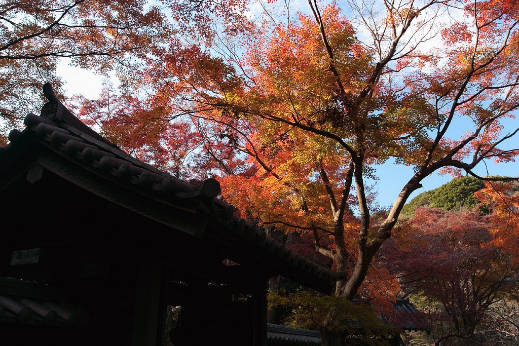 日本のおもいで（瑞泉寺・鎌倉）