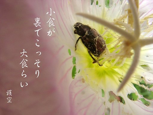 自業自得