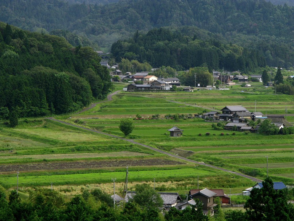 農村景観