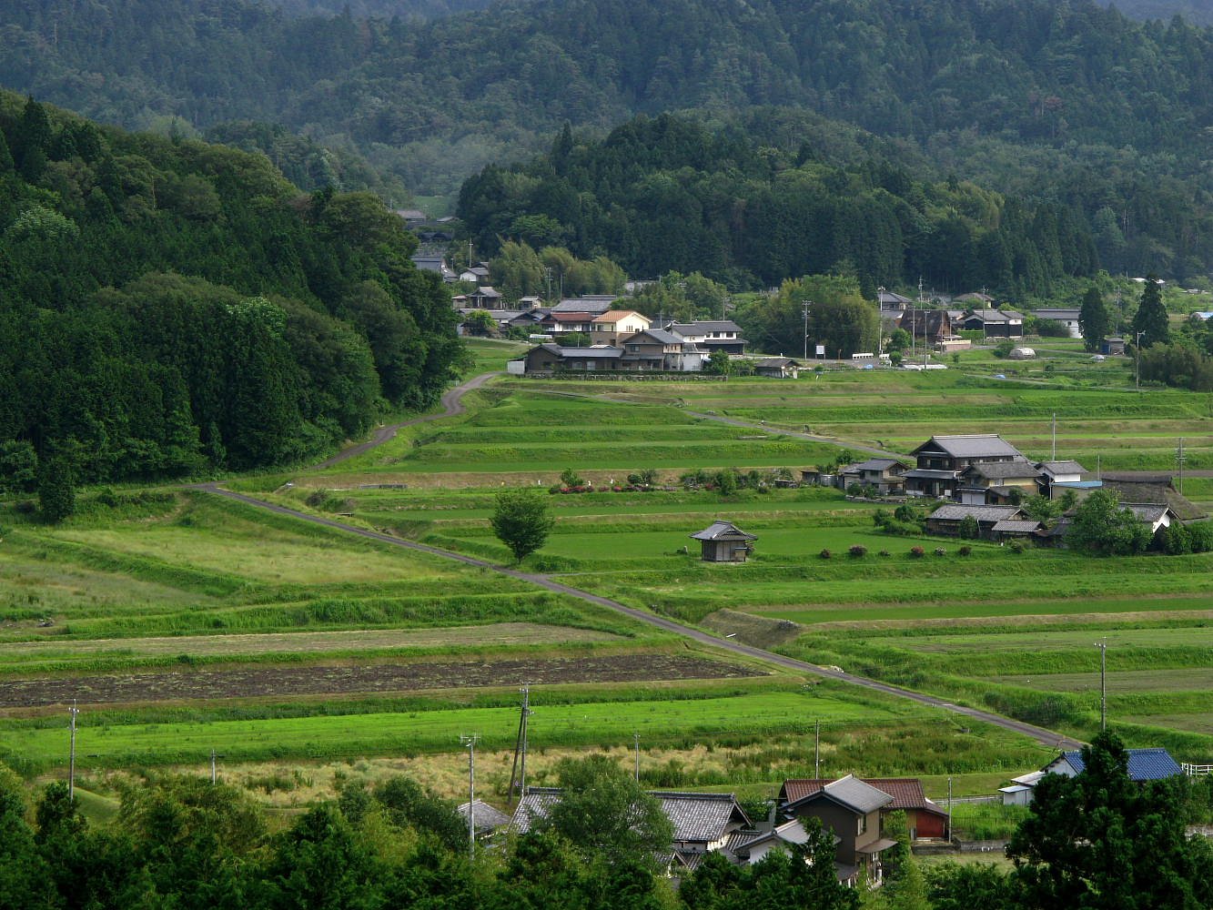 農村景観