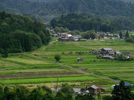 農村景観