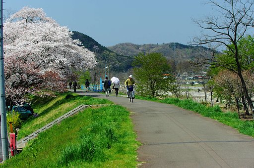 【緑】春の堤防