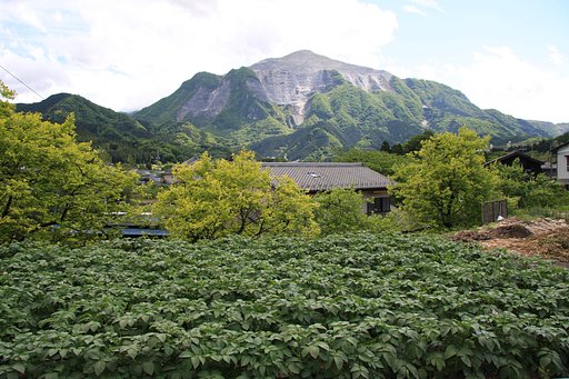 【植】背景に山が見える畑