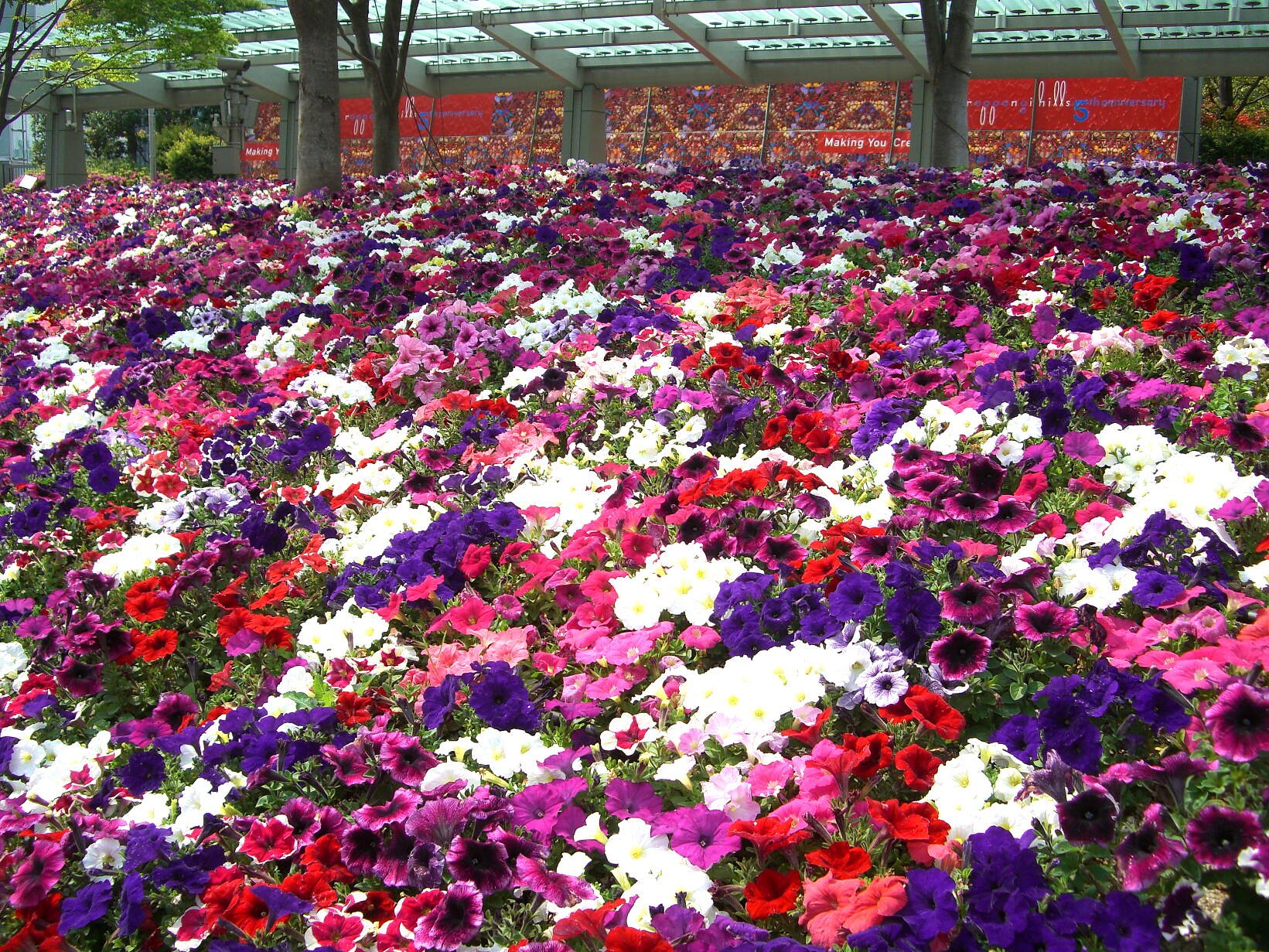 六本木ヒルズ広場の花壇