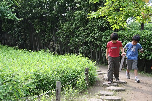 公園の新緑