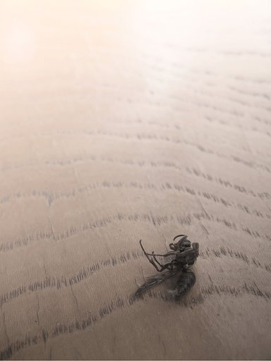 何れ赴く光溢れる…