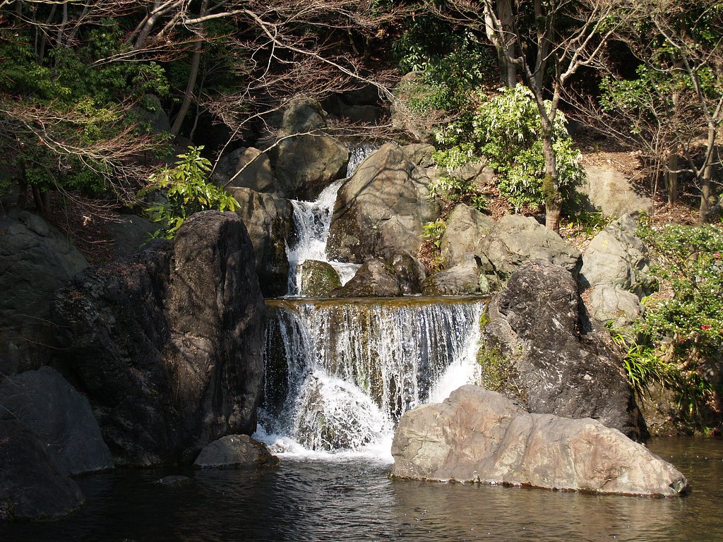 滝に