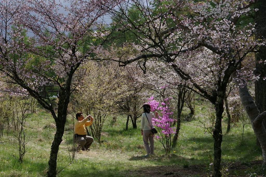 花園の記念