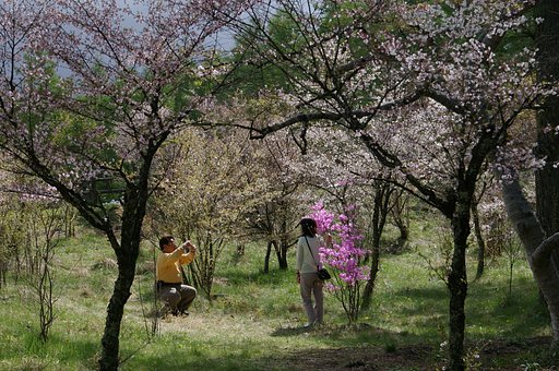 花園の記念