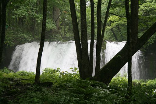 【植】林間の滝