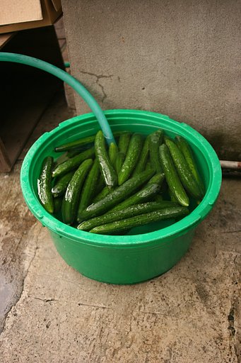 夏が来る