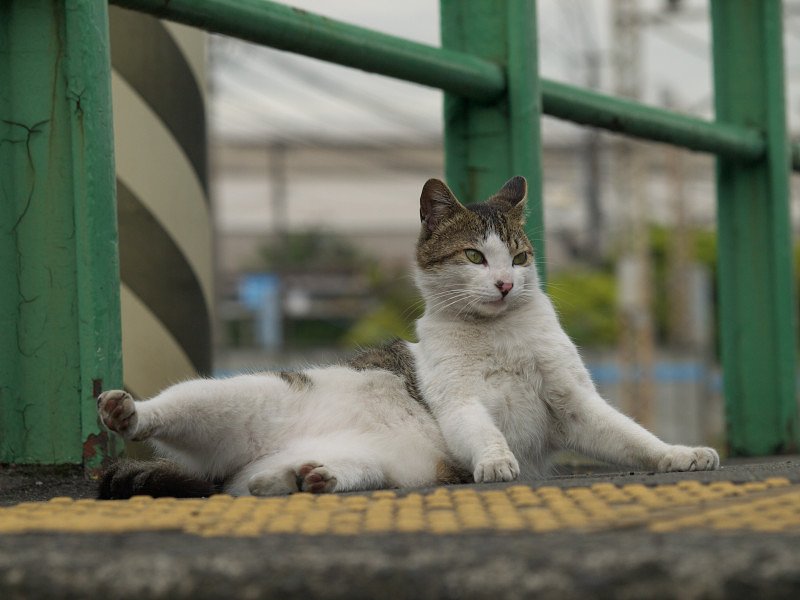 よっこいしょ