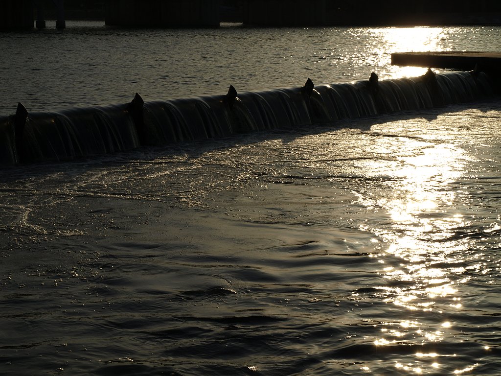 水面の光