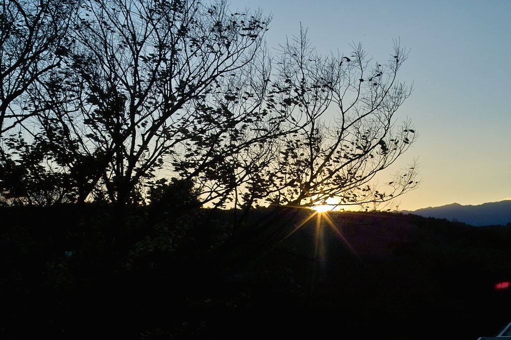 夕暮れ