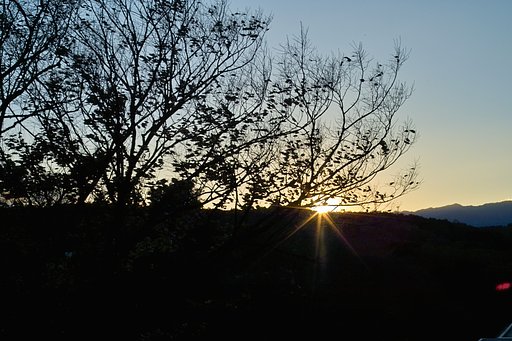 夕暮れ