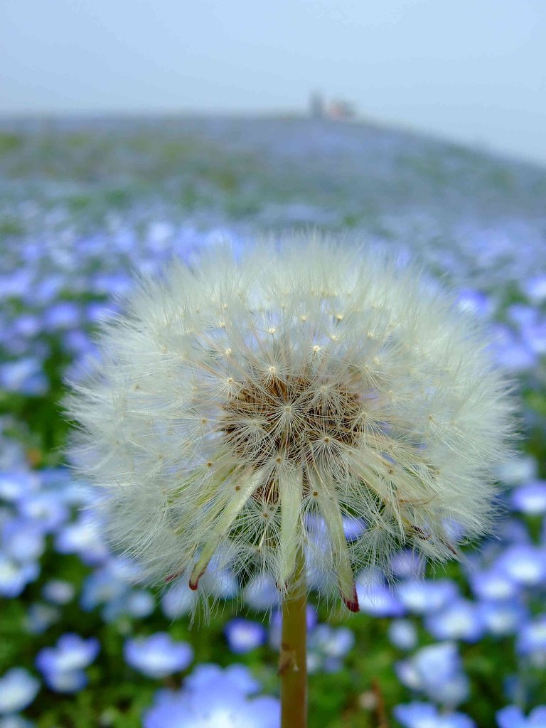 一厘の・・・