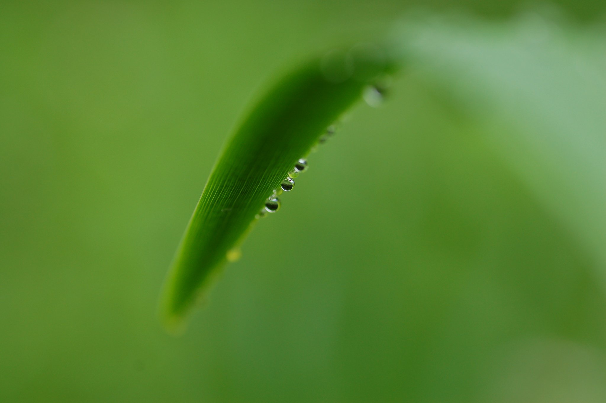 雨上がりの後で