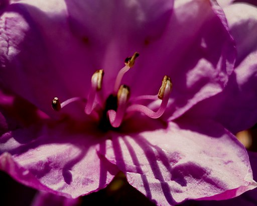 名前はちょっと？？？