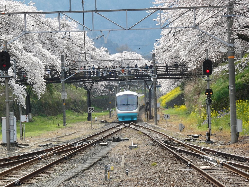 電車がきたぞー2008
