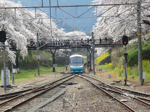 電車がきたぞー2008