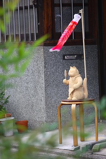 【植】鯉より団子