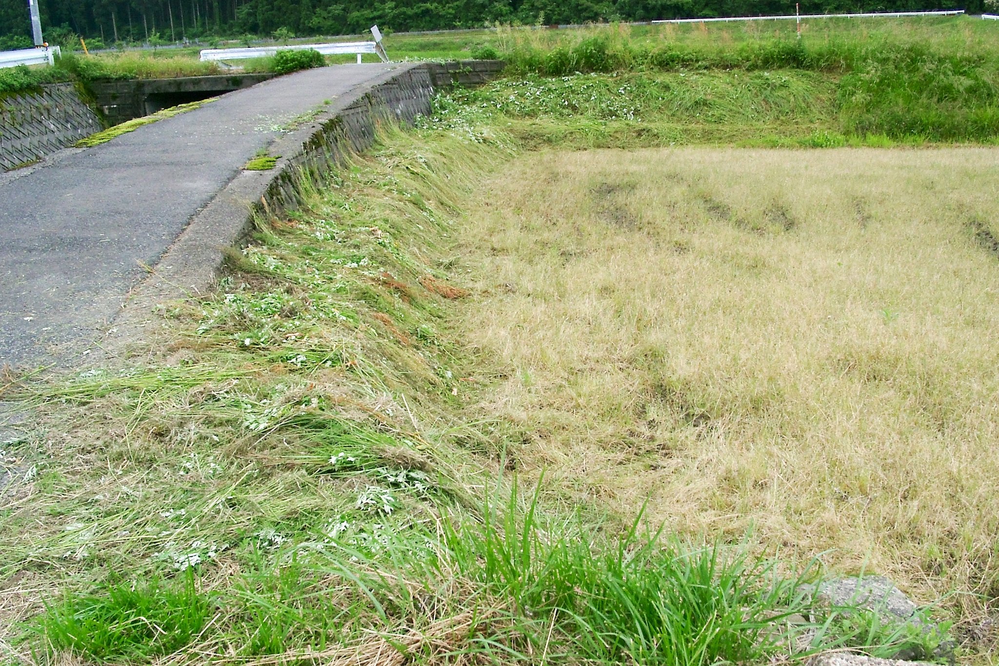田植えが一段落で、草刈正雄に変身です。