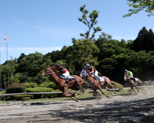草競馬　４