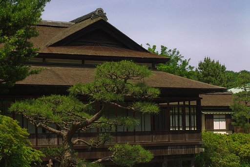 「植」三溪園