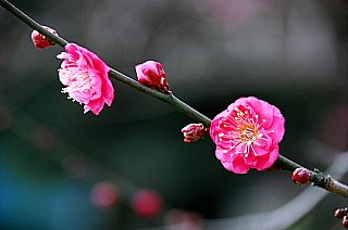 そろそろ出番・・・・