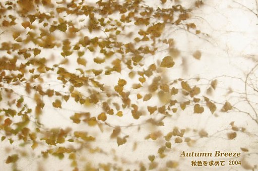 Autumn Breeze