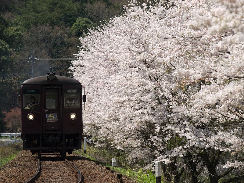 花屏風