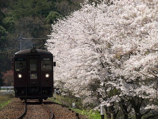 花屏風