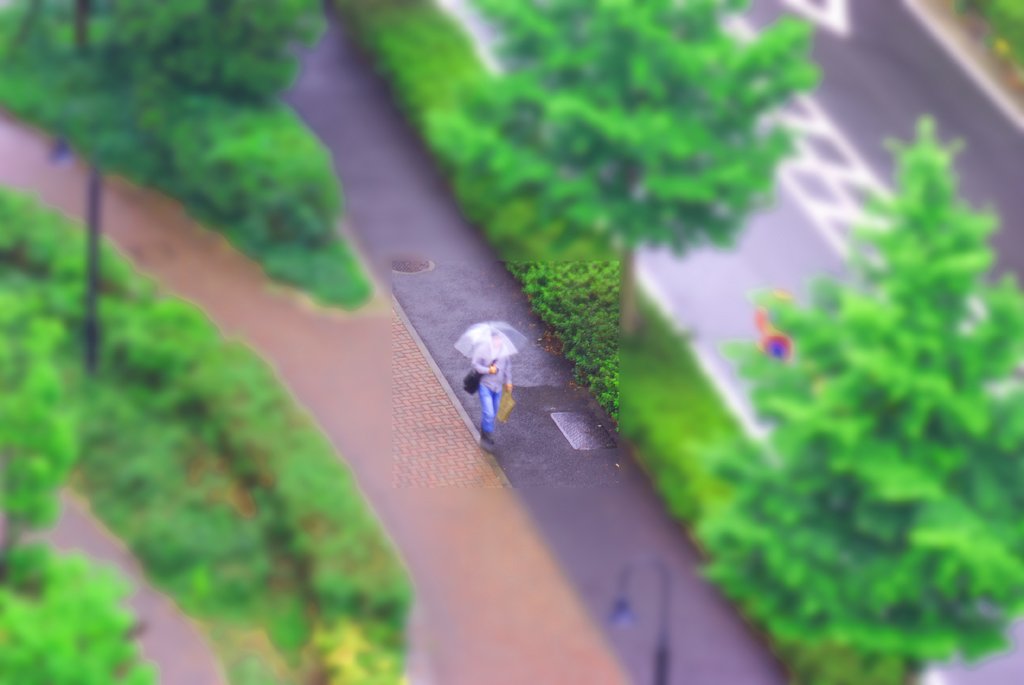 「Silver」休日の雨