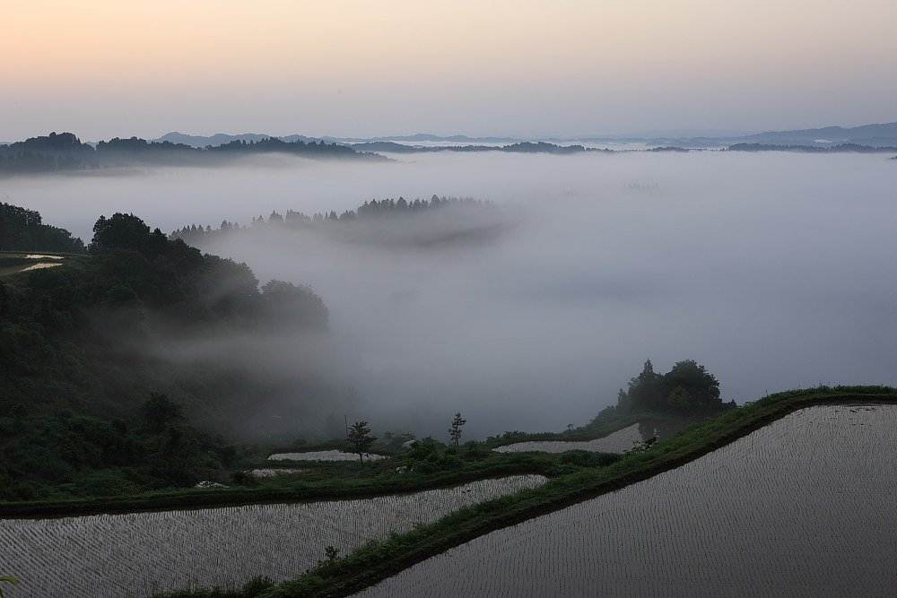 雲海