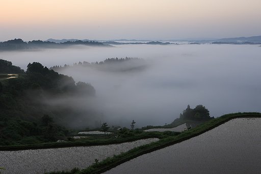 雲海