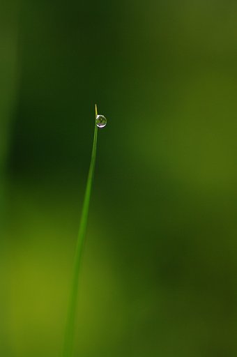 一滴