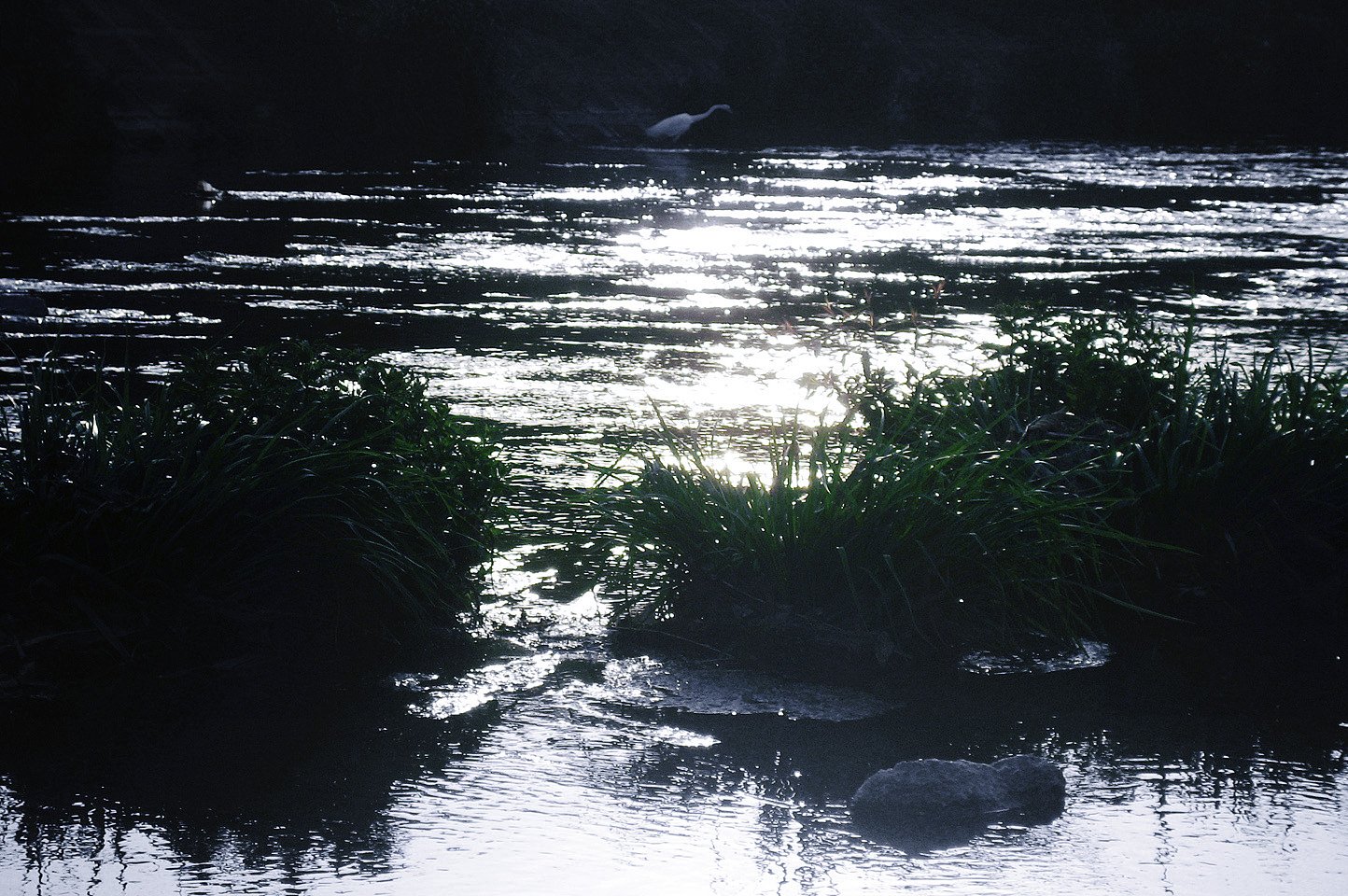 【Silver】夕刻の川