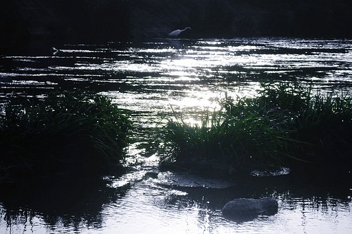 【Silver】夕刻の川