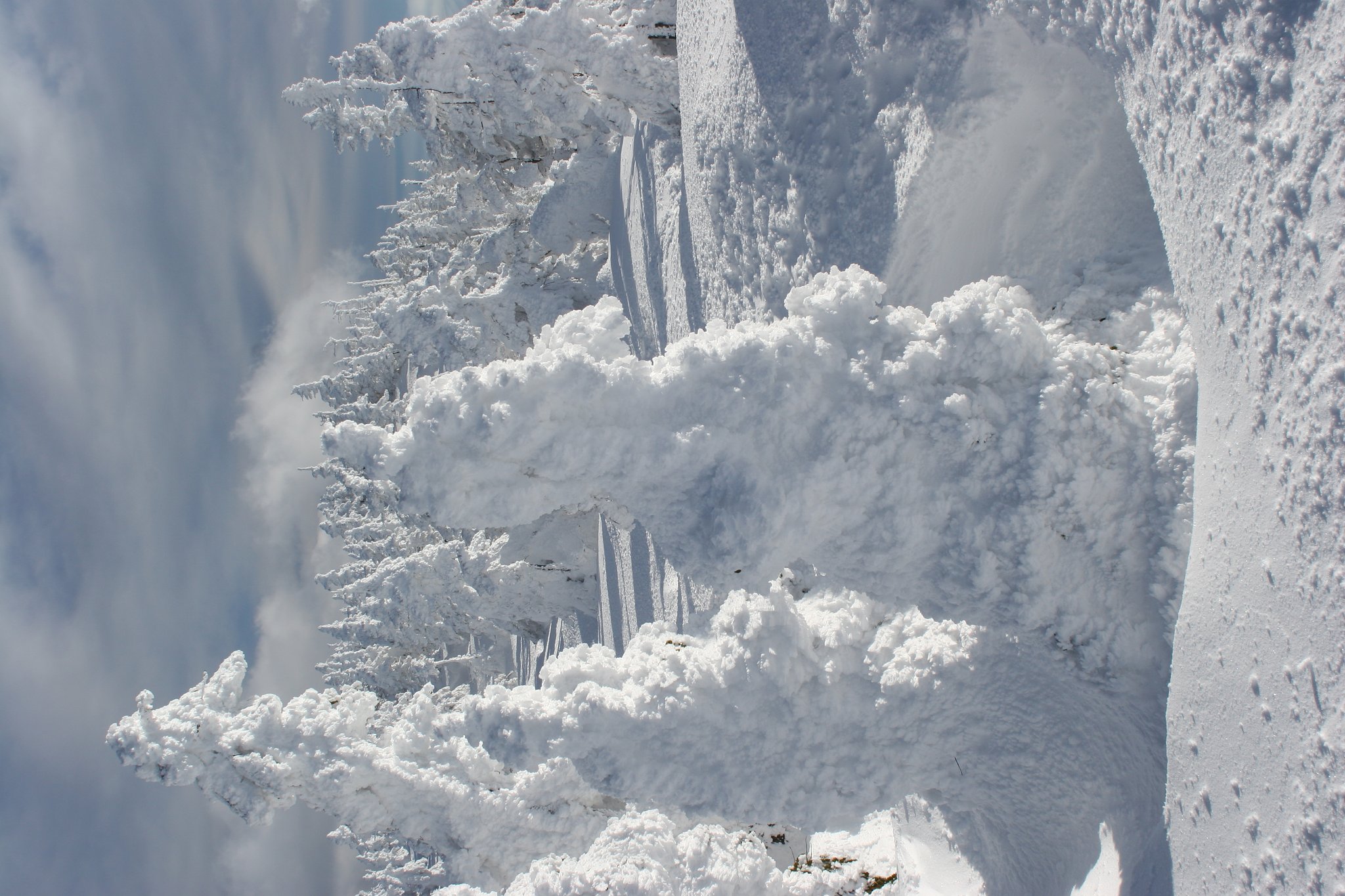 初めての雪景色