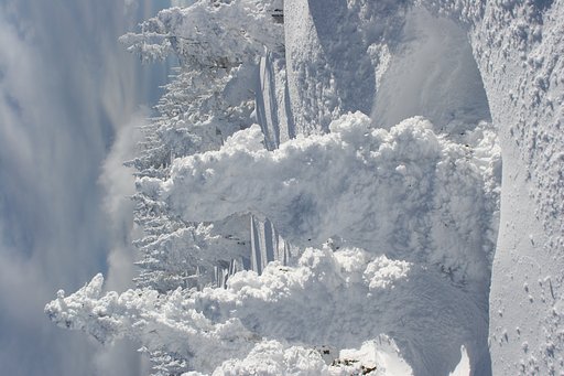 初めての雪景色