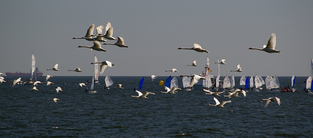In the air and on water
