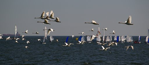 In the air and on water