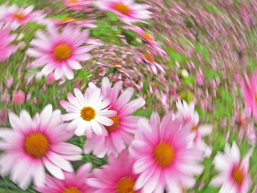 Flower Fantasy Ⅰ