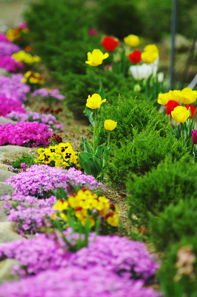 隣の家の芝は・・・？？？