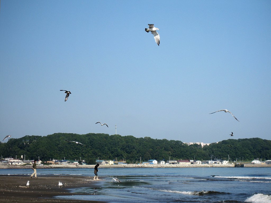 俺たちの海、じゃないけれど‥