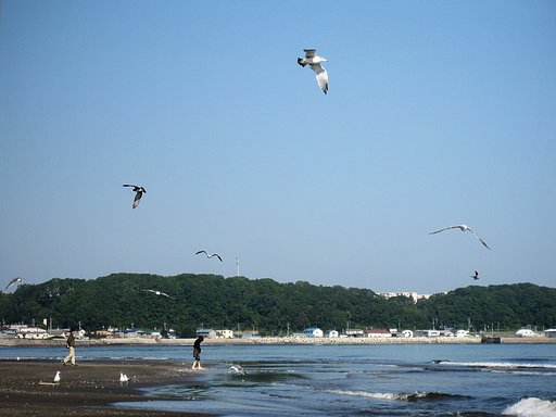俺たちの海、じゃないけれど‥